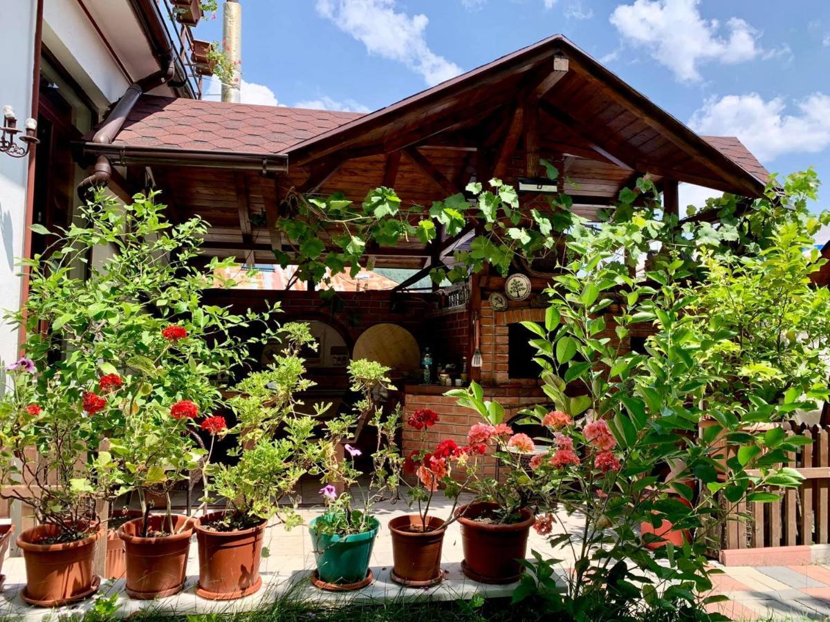 Casa Olanesti Hotell Băile Olăneşti Exteriör bild