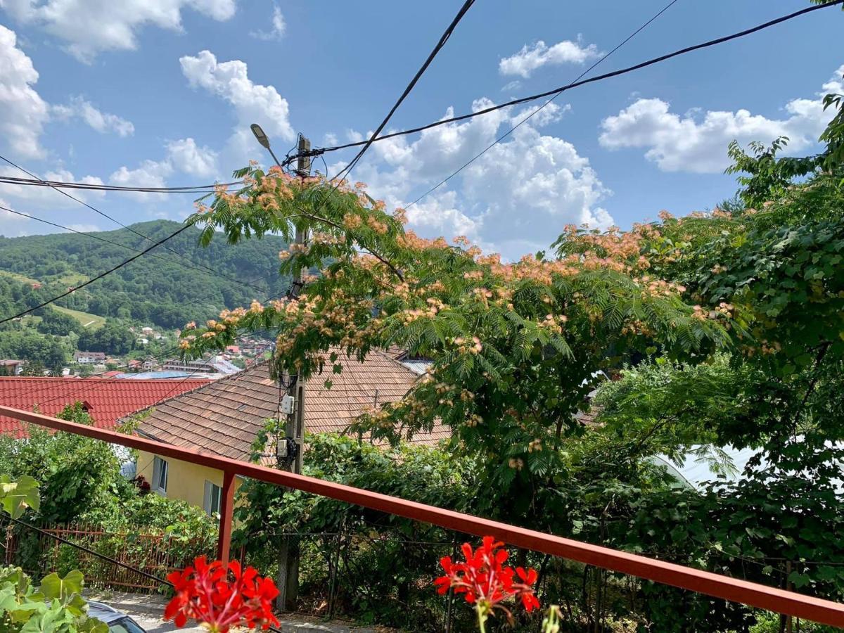 Casa Olanesti Hotell Băile Olăneşti Exteriör bild